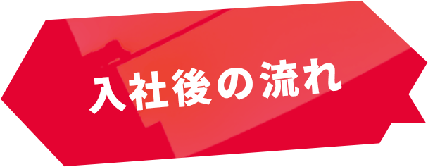 入社後の流れ